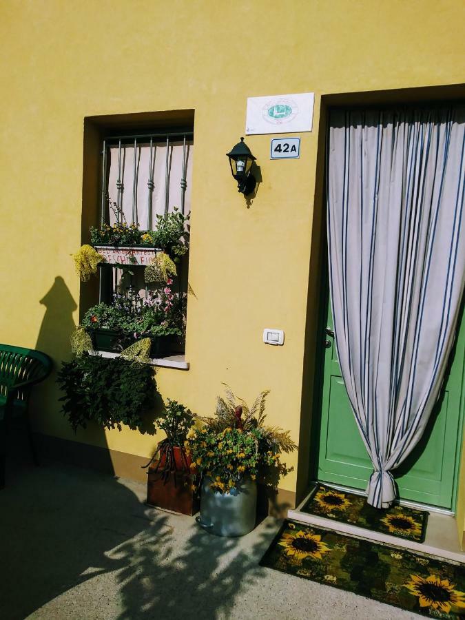 B&B Peschi in Fiore Valeggio sul Mincio Esterno foto