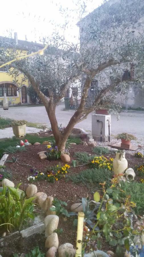 B&B Peschi in Fiore Valeggio sul Mincio Esterno foto